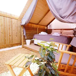 Lemon Tree Urban Camping Camping FAO